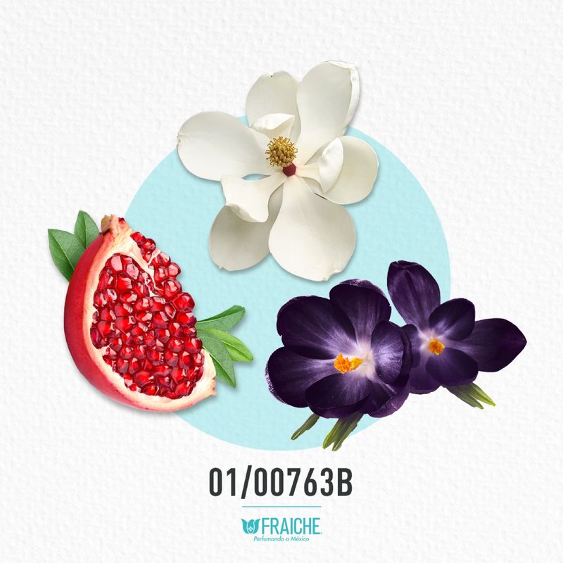 01-00763b-mcalk-eupho