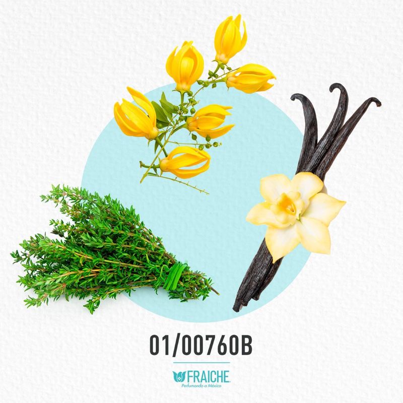 01-00760b-mgiv-ang-dem-1