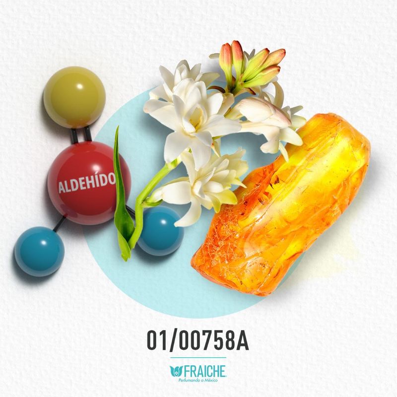 01-00758a-melizabe-t-wdiam