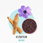 01-00753b-mlac-fem