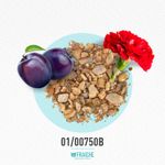 01-00750b-meliza-red-d