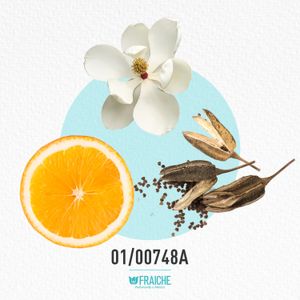MESC ISLAND K - Perfume al 33%