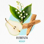 01-00747a-mgio-a-empori