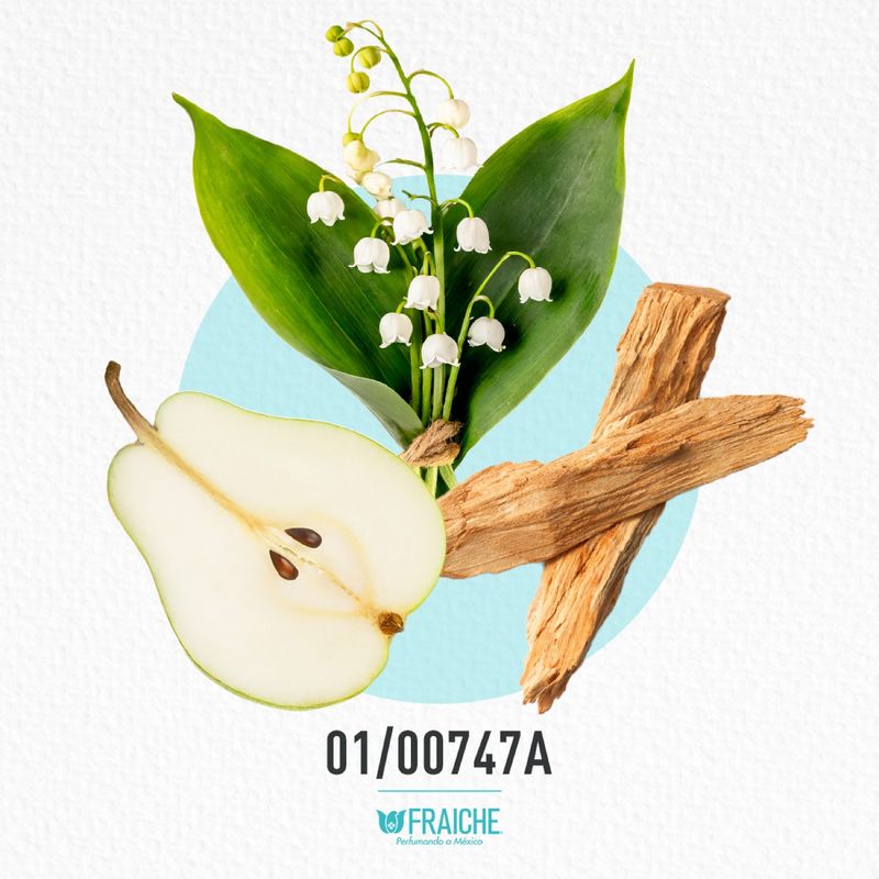 01-00747a-mgio-a-empori