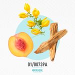 01-00739a-mgiv-ama1
