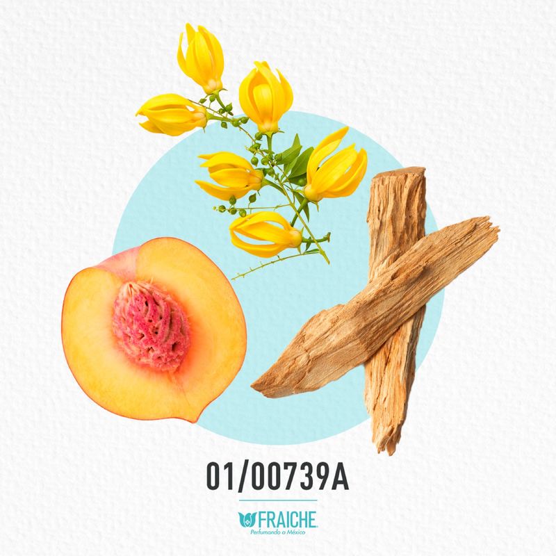 01-00739a-mgiv-ama1