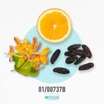 01-00737b-mph-heires