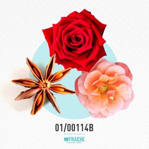 MGIV VERY IR S - Perfume al 33%