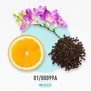 MWORK SAMBA - Perfume al 33%