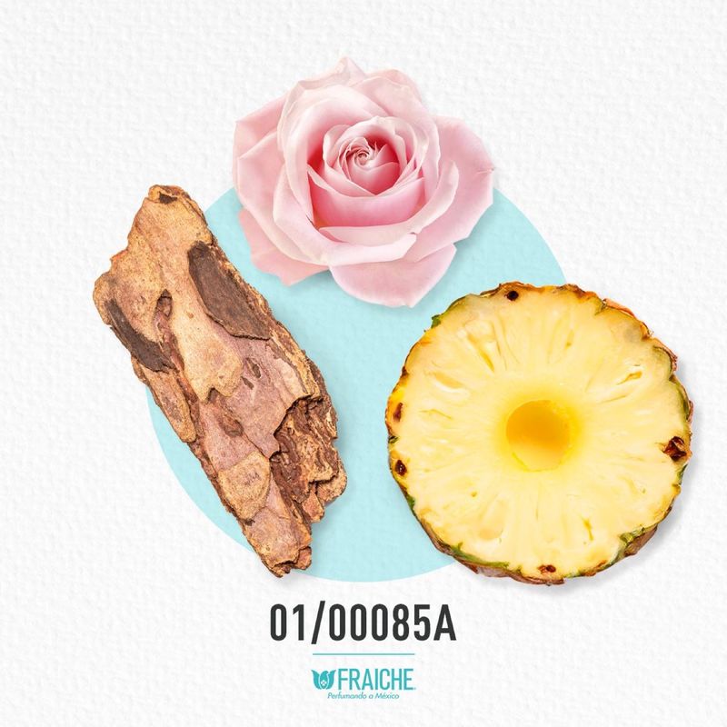 01-00085a-mlanco-ou