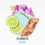 01-00057a-mgues1
