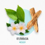 01-00045a-mcot-excla