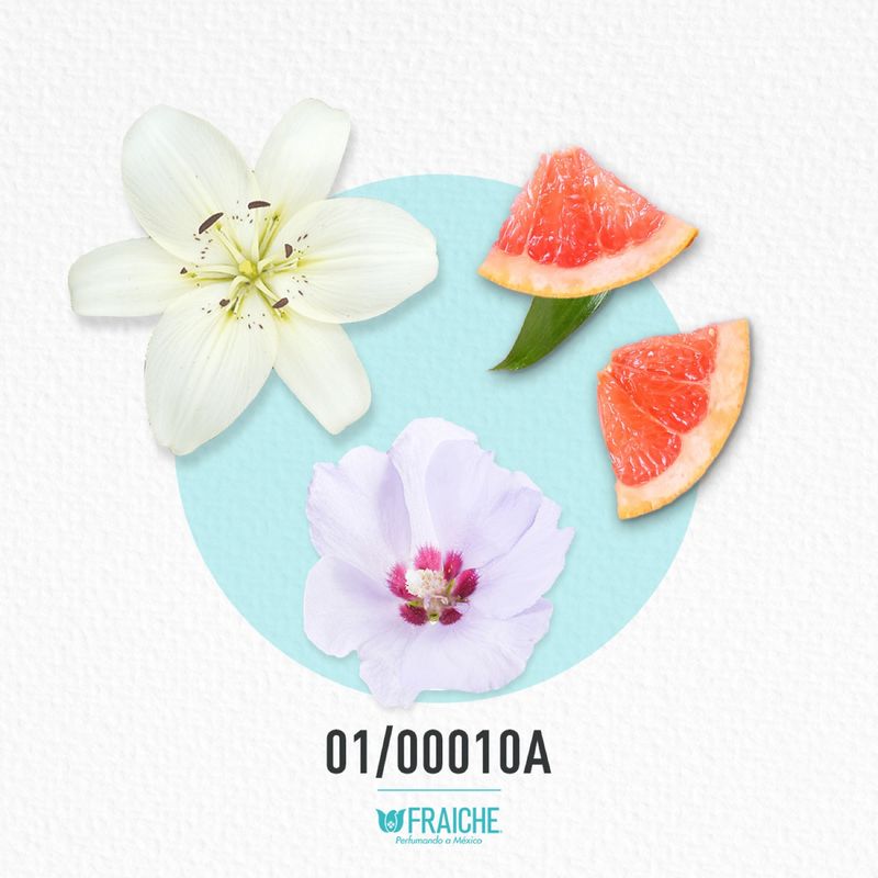 01-00010a-mcach-amor