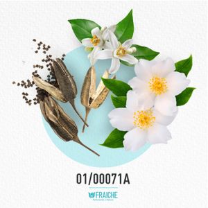 MCOT MUS JOV - Agua de Perfume al 25%