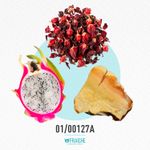 01-00127a-mesc-tropical-p