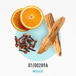 01-00289a-mchan-tabu
