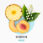 01-00741b-mdavido-cool-w