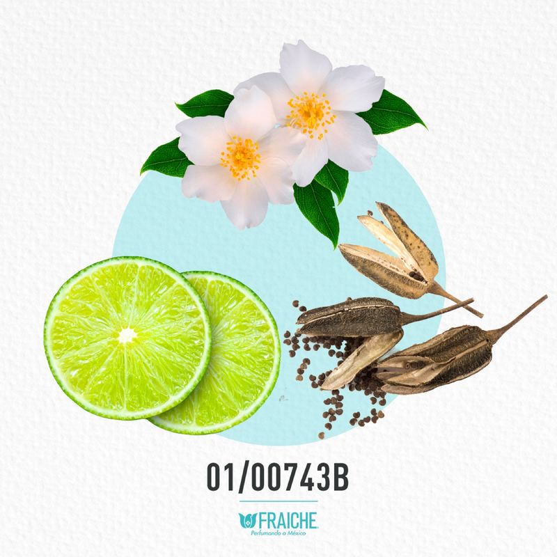 01-00743b-mgio-a-aqugi