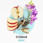 01-00866b-maudig-ed-hard