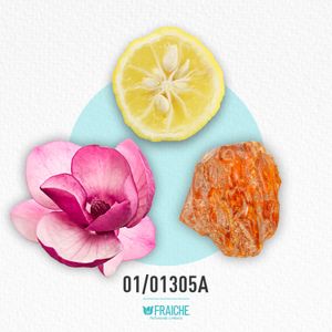 MVERS BRIG CRIST - Agua de Perfume al 25%