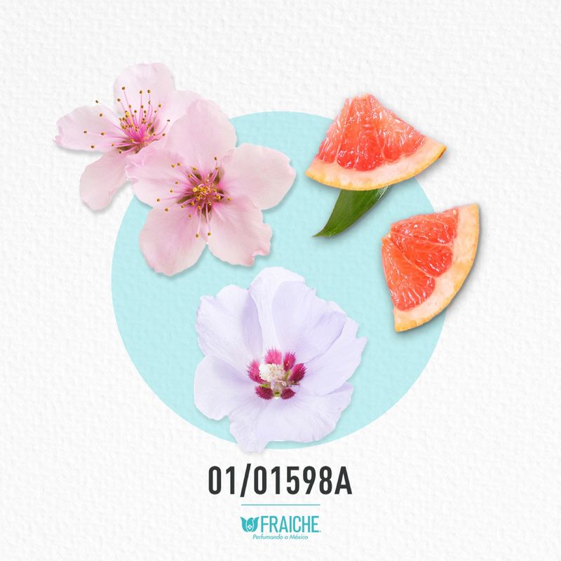 01-01598a-mcaro-212-vrosa