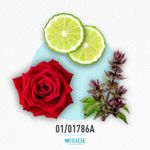 01-01786a-mvicrolf-flower-b