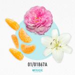 01-01867a-mjuicy-rosa-viva
