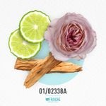 01-02338a-chica-j