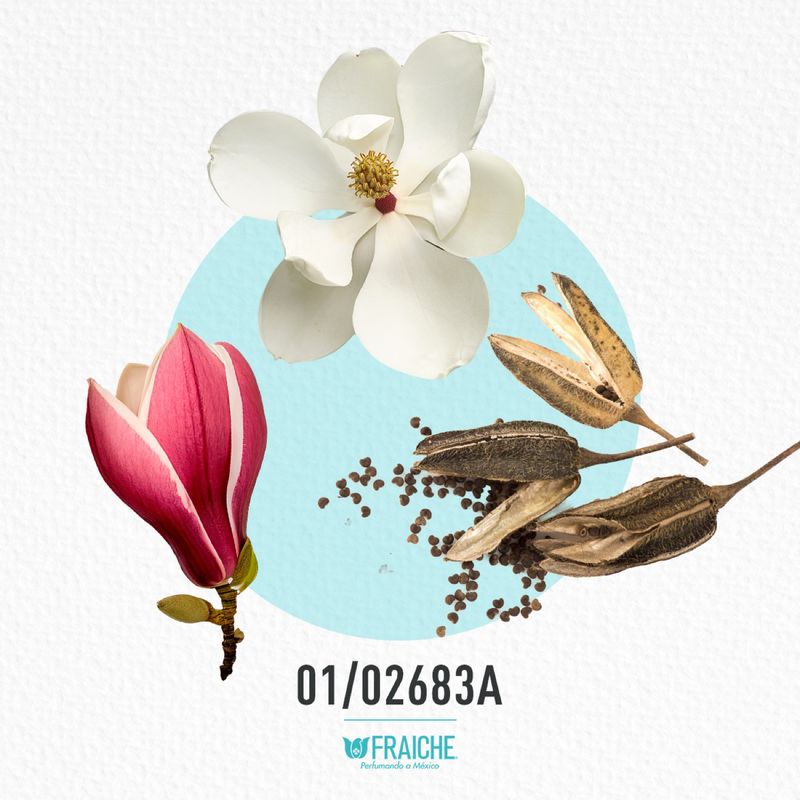 01-02683a-mestee-bea-magnoli