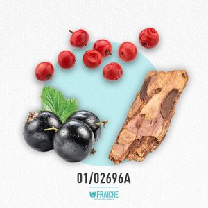 MVERS DYLAN TURQ - Agua de Perfume al 25%