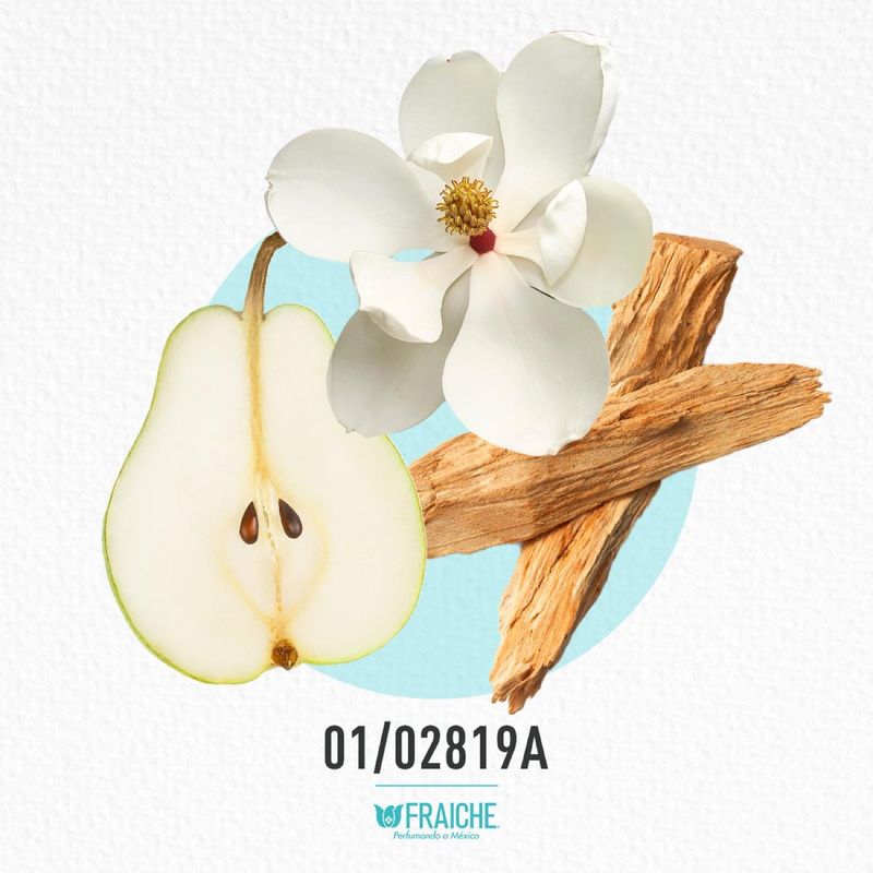 01-02819a-mdk-bedelic-edit