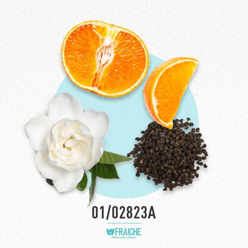 01-02823a-mbvlg-om-nia-mary