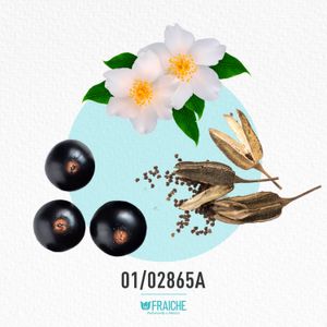 MGUES1 VITA ROSA - Agua de Perfume al 25%