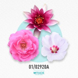 MYSL MON PARIS LUM - Agua de Perfume al 25%
