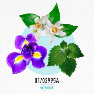 MLANCO LVEB LEVEIL - Agua de Perfume al 25%