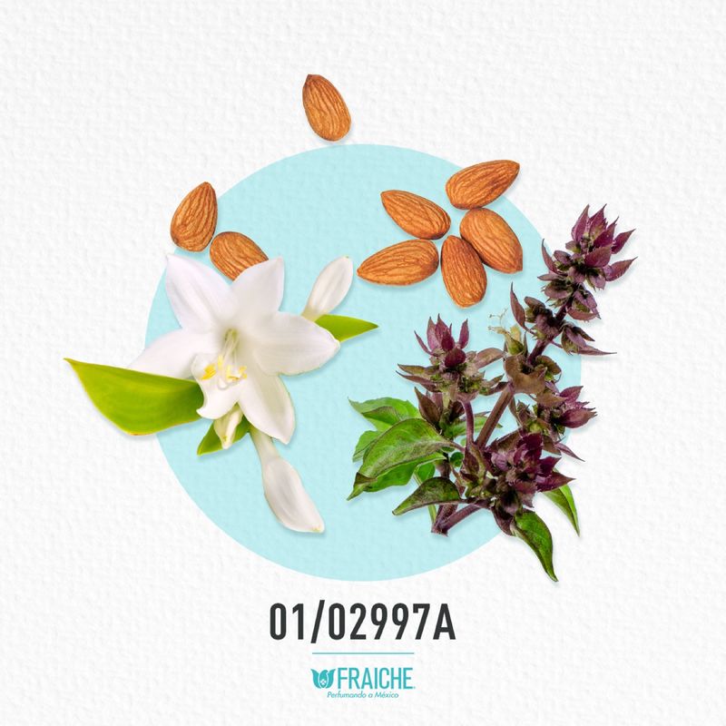 01-02997a-mcaro-gg-midnight