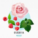 01-03011a-mguerl-ptitrnoired