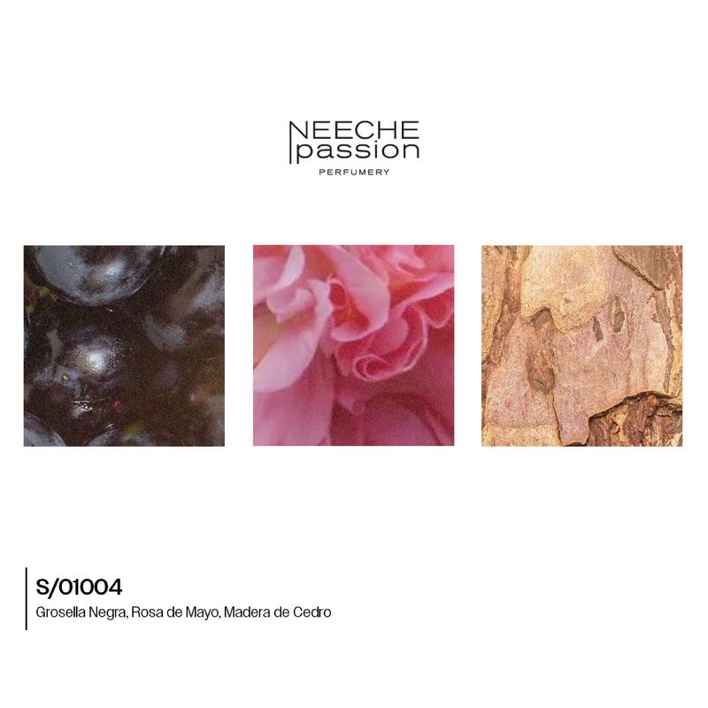 s-01004-mroselis