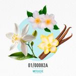 01-00082a-mgiv-organz