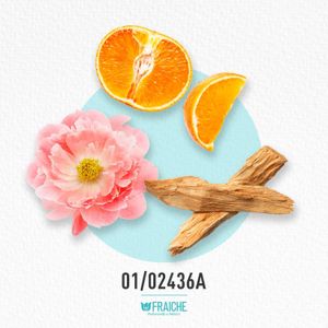 MMOSCH TOY2 - Agua de Colonia al 17%