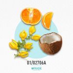01-02706a-mlanc-lveb-sol-crs