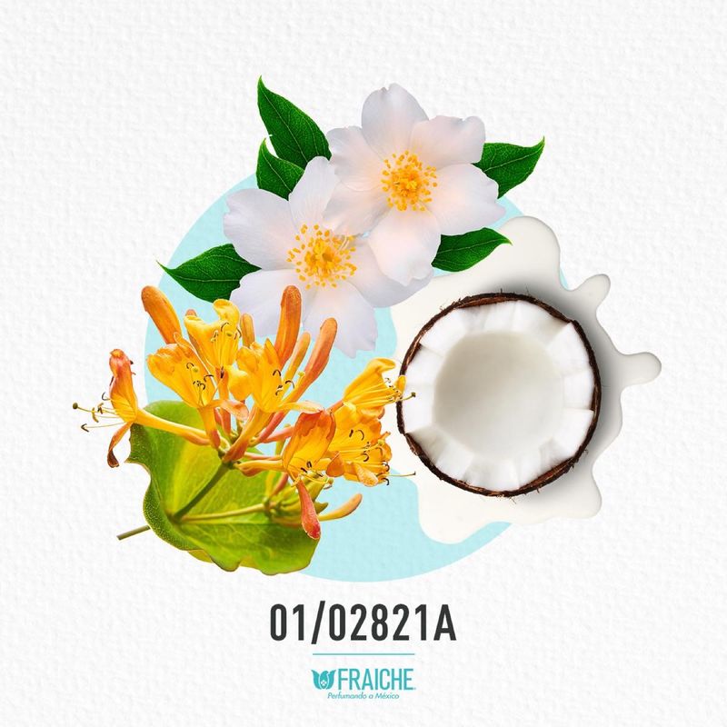 01-02821a-mbenet-color-rose