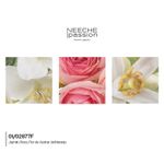 01-02877f-mcrd-wind-flower