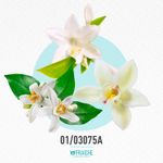 01-03075a-mgioa-my-way-edp