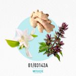 01-03142a-mgucc1-bloom-int