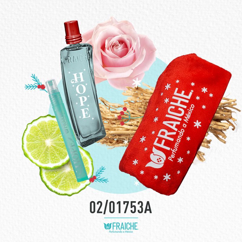 1038341-kit-navidad-2025-hmoschtoybo-02-01753a