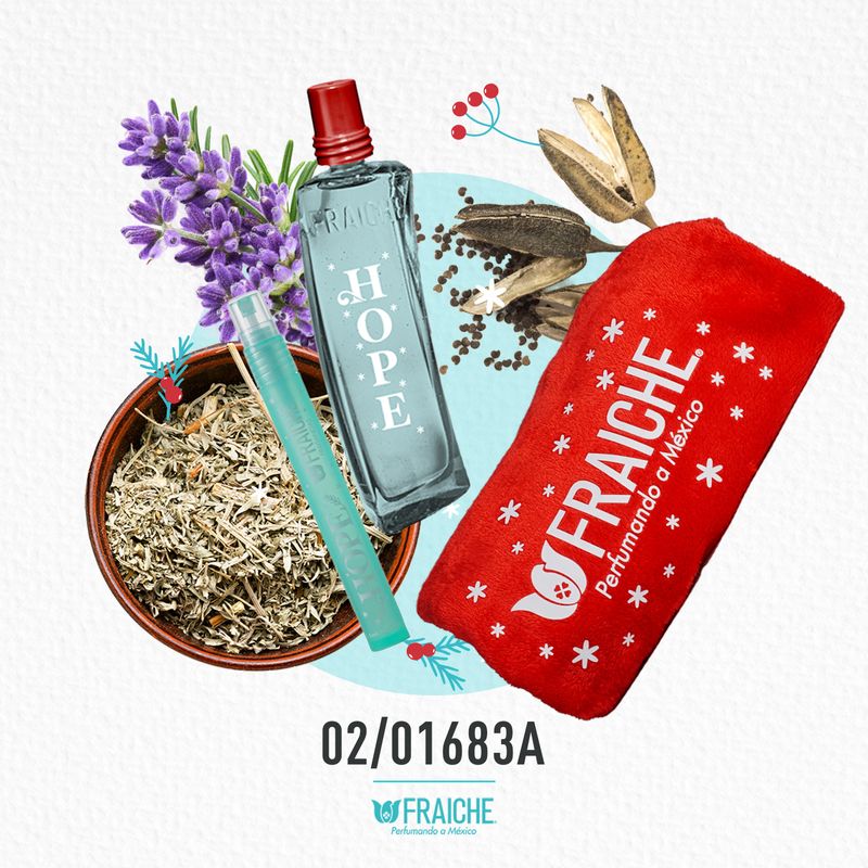 1038331-kit-navidad-2025-hcaro212vnegr-02-01683a